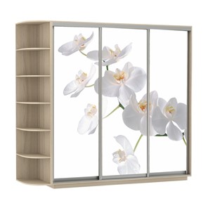 Шкаф Экспресс со стеллажом, 2100х600х2200, Орхидея белая/шимо светлый в Твери