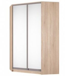 Угловой шкаф Аларти (YA-230х1400(602) (4) Вар. 4; двери D5+D5), с зеркалом в Твери