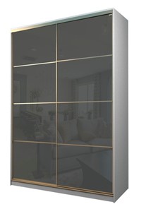 Шкаф 2-х дверный MAX МШ-25-6-18-22, Профиль Золото/Цвет Белый/Oracal Темно-серый в Твери