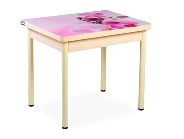 Кухонный пристенный стол СПА-02 СТФ, молочный дуб/фотопечать орхидея/опоры бежевый в Твери