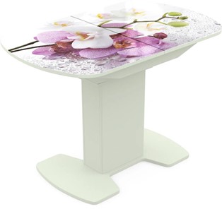 Кухонный раздвижной стол Корсика исп. 2 Фотопечать (Цветы №44) 1200(1515)*800 в Твери