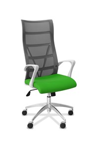 Офисное кресло для руководителя Топ X белый каркас, сетка/ткань TW / серая/салатовая в Твери