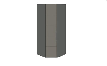 Распашной угловой шкаф Наоми, цвет Фон серый, Джут СМ-208.07.06 в Твери