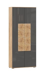Шкаф двухстворчатый Фиджи с декоративными накладками 659.310, Дуб Золотой/Антрацит в Твери