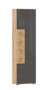 Шкаф одностворчатый Фиджи с декоративными накладками 659.300, Дуб Золотой/Антрацит в Твери