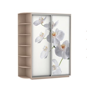 Шкаф двухдверный Экспресс 1900x600x2200, со стеллажом, Орхидея белая/дуб молочный в Твери