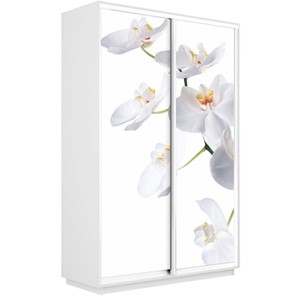 Шкаф 2-дверный Экспресс 1600x450x2400, Орхидея белая/белый снег в Твери