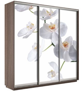 Шкаф трехдверный Экспресс 1800х600х2400, Орхидея белая/шимо темный в Твери