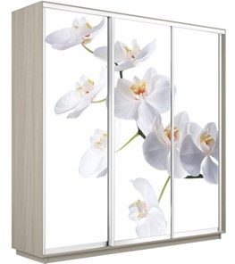 Шкаф 3-х створчатый Экспресс 2100х600х2200, Орхидея белая/шимо светлый в Твери