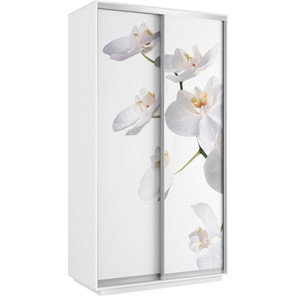 Шкаф 2-дверный Хит 1200x600x2200, белая орхидея, белый снег в Твери