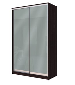 Шкаф 2-х створчатый Хит-22-14-22 с цветным стеклом, средне-серый 074, Венге в Твери