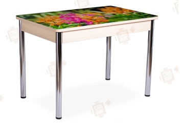 Кухонный стол раскладной Айсберг-02 СТФ, Дуб ЛДСП/полевые цветы/ноги хром прямые в Твери