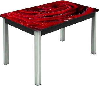 Кухонный раздвижной стол Гамбург исп.2 ноги метал. крашеные №23, Фотопечать (Цветы №39) в Твери