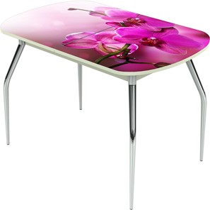Кухонный стол раскладной Ривьера исп.1 ноги метал. крашеные №24 Фотопечать (Цветы №16) в Твери