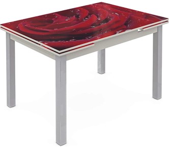 Кухонный стол раскладной Шанхай исп. 2, ноги метал. крашеные №21 Фотопечать (Цветы №39) в Твери