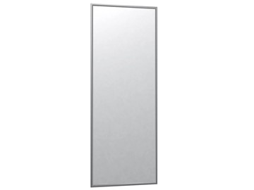 Зеркало навесное в спальню Сельетта-6 матовое серебро (1100х400х9) в Твери