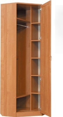 Распашной шкаф 402 угловой со штангой, цвет Дуб Сонома в Твери - изображение 1
