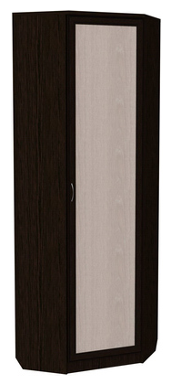 Распашной шкаф 402 угловой со штангой, цвет Венге в Твери - изображение