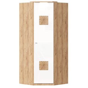 Шкаф угловой 45 с декоративной накладкой Фиджи, 659.248, белый в Твери - предосмотр